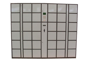 CE 36 armarios de equipaje de acero de gran tamaño de las puertas, caja de los armarios de la oficina electrónica de la contraseña con la pantalla del LCD