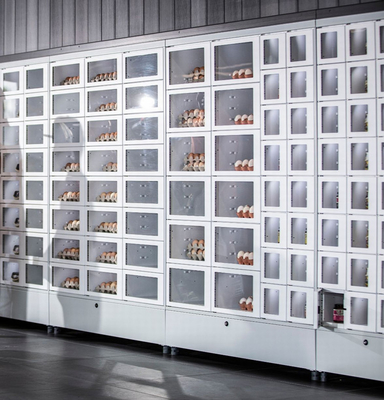 armarios elegantes refrigerados eficientes de la comida de Winnsen de la máquina expendedora 240V
