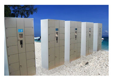 Armario electrónico elegante de la puerta del OEM/del ODM, armario interior de la seguridad para la playa