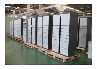 Los armarios de equipaje del supermercado de acero de Winnsen modificaron tamaño multi electrónico de la puerta para requisitos particulares