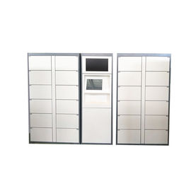 Armario automático del lavadero del servicio para el lavadero expreso con el sistema de pago de la moneda