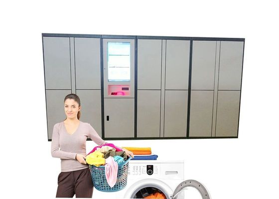 Sistemas electrónicos elegantes inteligentes del armario del lavadero de la limpieza en seco del zapato integrados con el app o la fuerza en línea API de la tienda del lavadero
