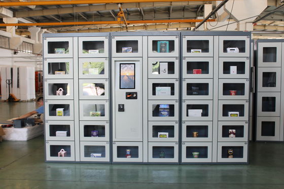 Caja que equipa la máquina expendedora del PPE con vender el sistema del armario para el taller