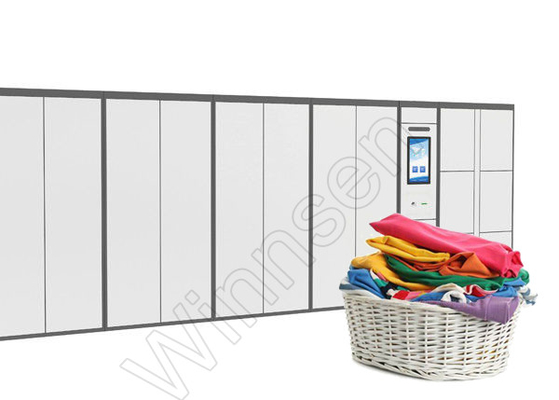 Armario de almacenamiento limpio de la ropa al aire libre inteligente electrónica del lavadero