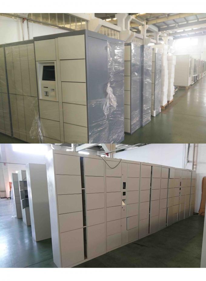 Armarios de alquiler del armario electrónico seguro del lavadero/de la limpieza en seco del control elegante del software