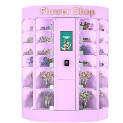 Flor automática elegante que vende capacidad grande del armario con temperatura ajustable