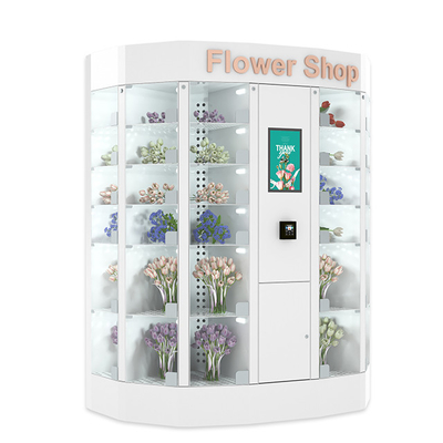 Flor sostenible que vende la capa del polvo de la solución 240V de la máquina del armario