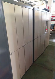 Armario del servicio de lavadero del soporte técnico con los sistemas del armario de la cerradura del sistema de control electrónico y de la limpieza en seco